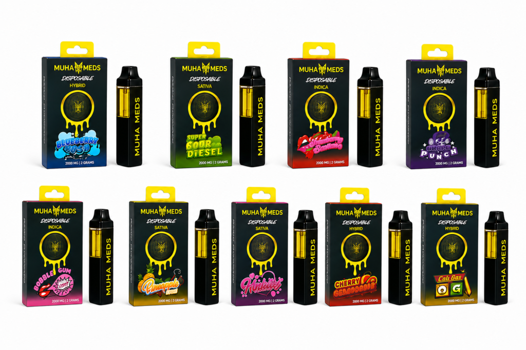 10 Unidades Muha Meds desechable 2G
